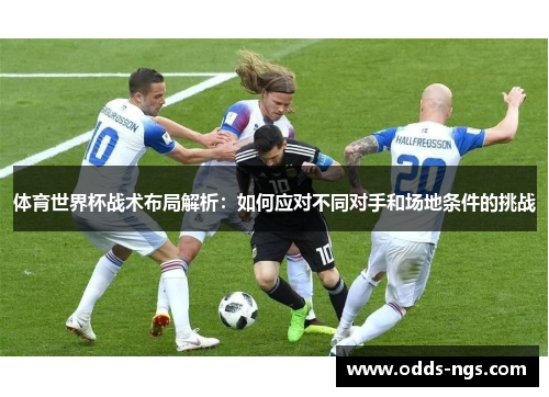 体育世界杯战术布局解析：如何应对不同对手和场地条件的挑战