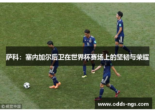 萨科：塞内加尔后卫在世界杯赛场上的坚韧与荣耀