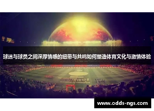 球迷与球员之间深厚情感的纽带与共鸣如何塑造体育文化与激情体验