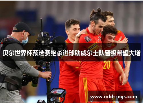 贝尔世界杯预选赛绝杀进球助威尔士队晋级希望大增