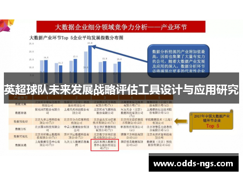 英超球队未来发展战略评估工具设计与应用研究