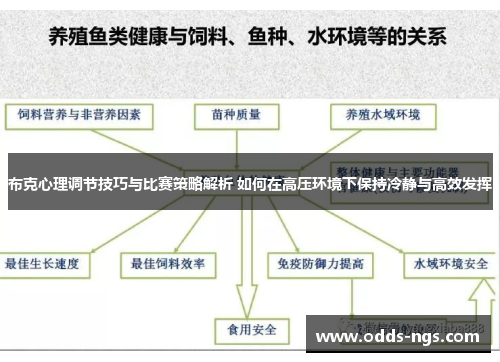 布克心理调节技巧与比赛策略解析 如何在高压环境下保持冷静与高效发挥