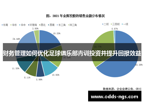 财务管理如何优化足球俱乐部青训投资并提升回报效益