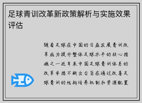 足球青训改革新政策解析与实施效果评估