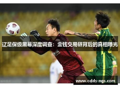 辽足保级黑幕深度调查：金钱交易链背后的真相曝光
