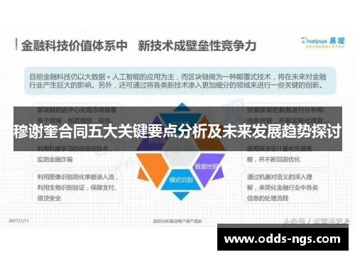 穆谢奎合同五大关键要点分析及未来发展趋势探讨