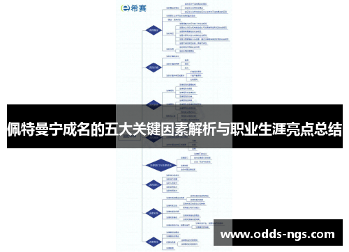 佩特曼宁成名的五大关键因素解析与职业生涯亮点总结