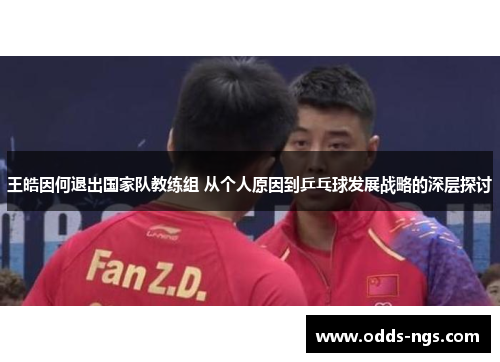 王皓因何退出国家队教练组 从个人原因到乒乓球发展战略的深层探讨